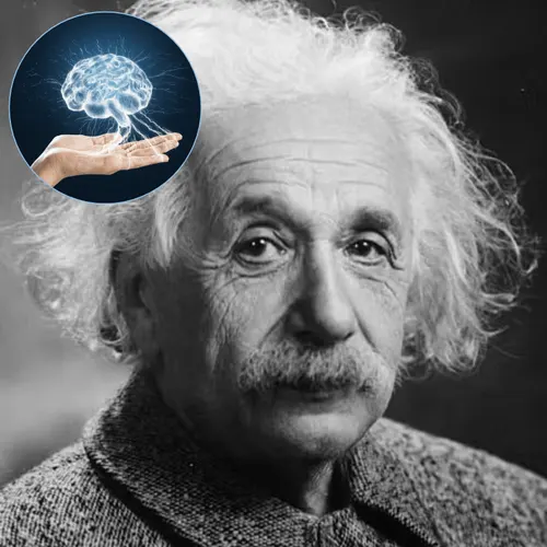 Science Behind Neuro Energizer